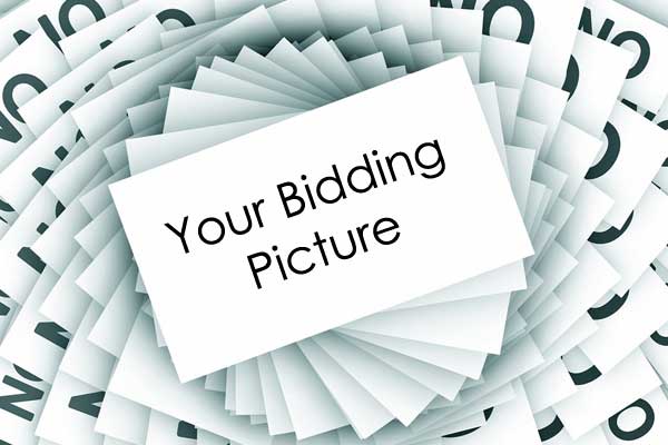 bidding pic
